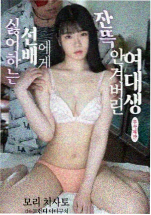 动画番剧类目图版
